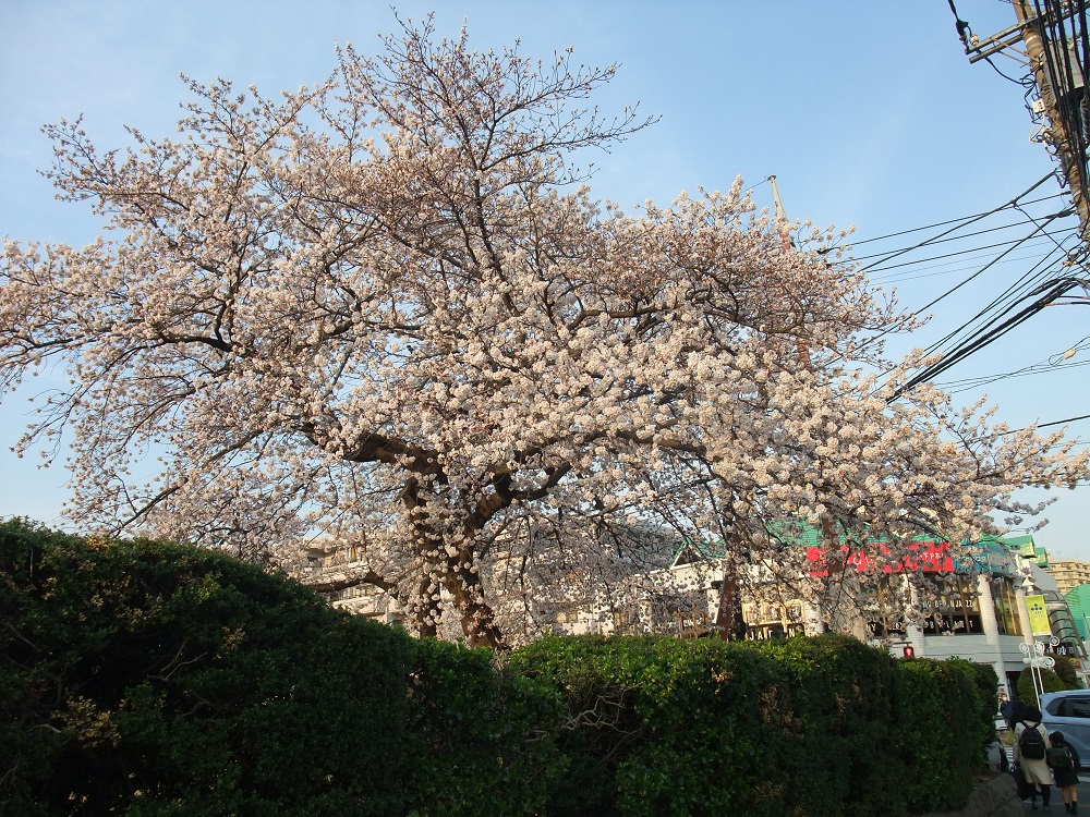 DSCF5970